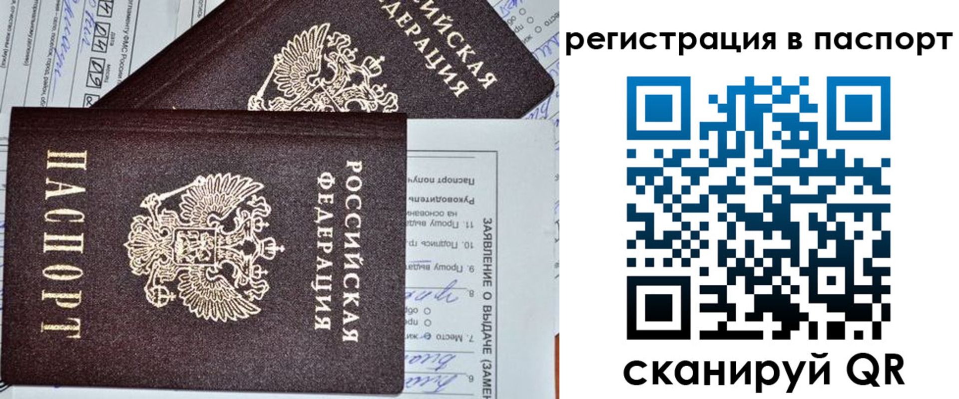 прописка законно в Тихорецке